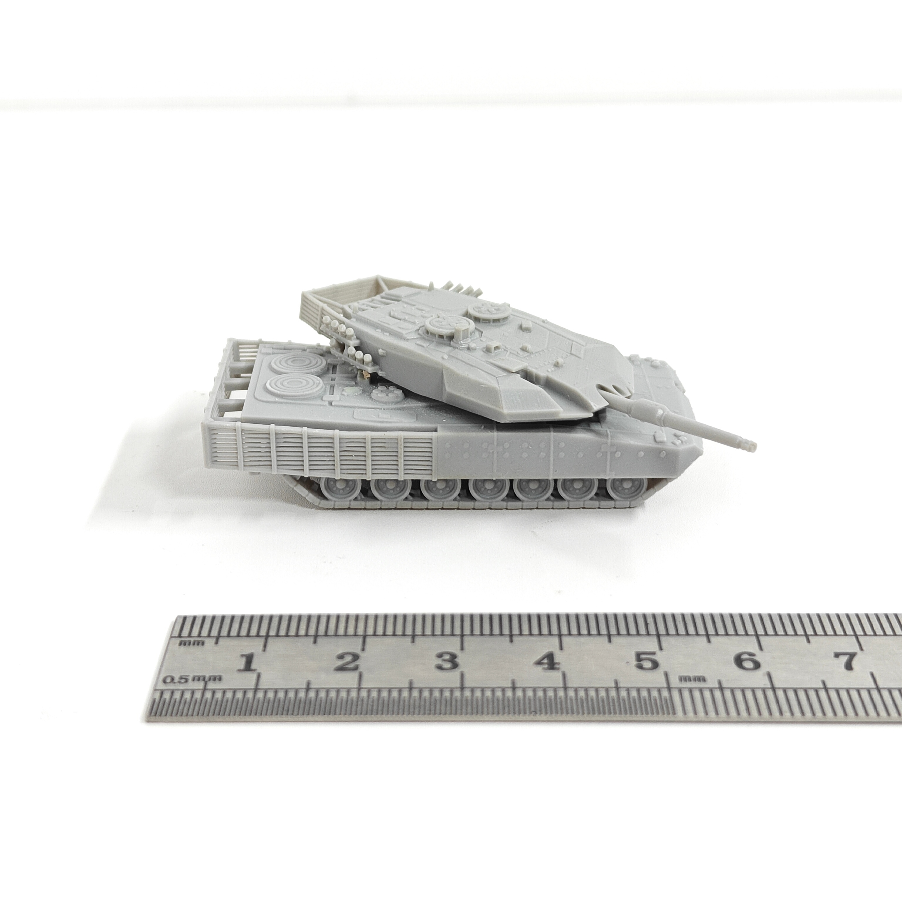 1/144 Scale Leopard Evolution  - Resin Art For Kids 리뷰 및 가격