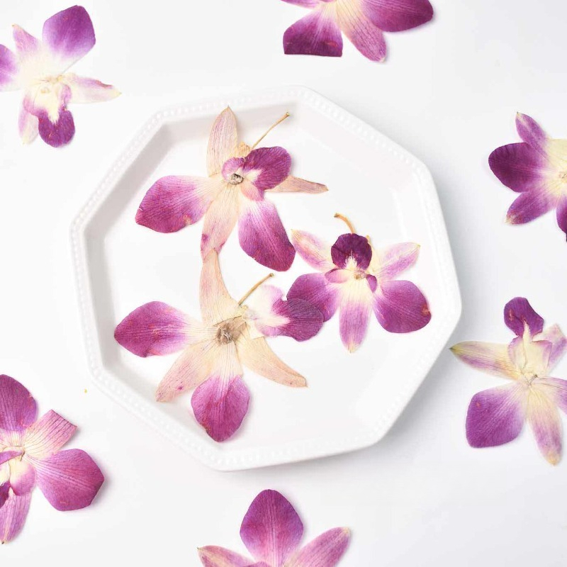 4pcs,Real Pressed Butterfly Or - Resin Art Frame 리뷰 및 가격