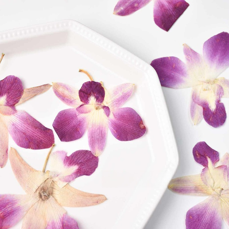 4pcs,Real Pressed Butterfly Or - Resin Art Frame 리뷰 및 가격