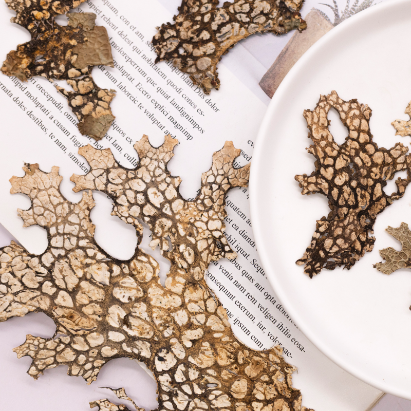 4pcs,Rare Bark Natural Pressed - Dried Flower Pressed 리뷰 및 가격
