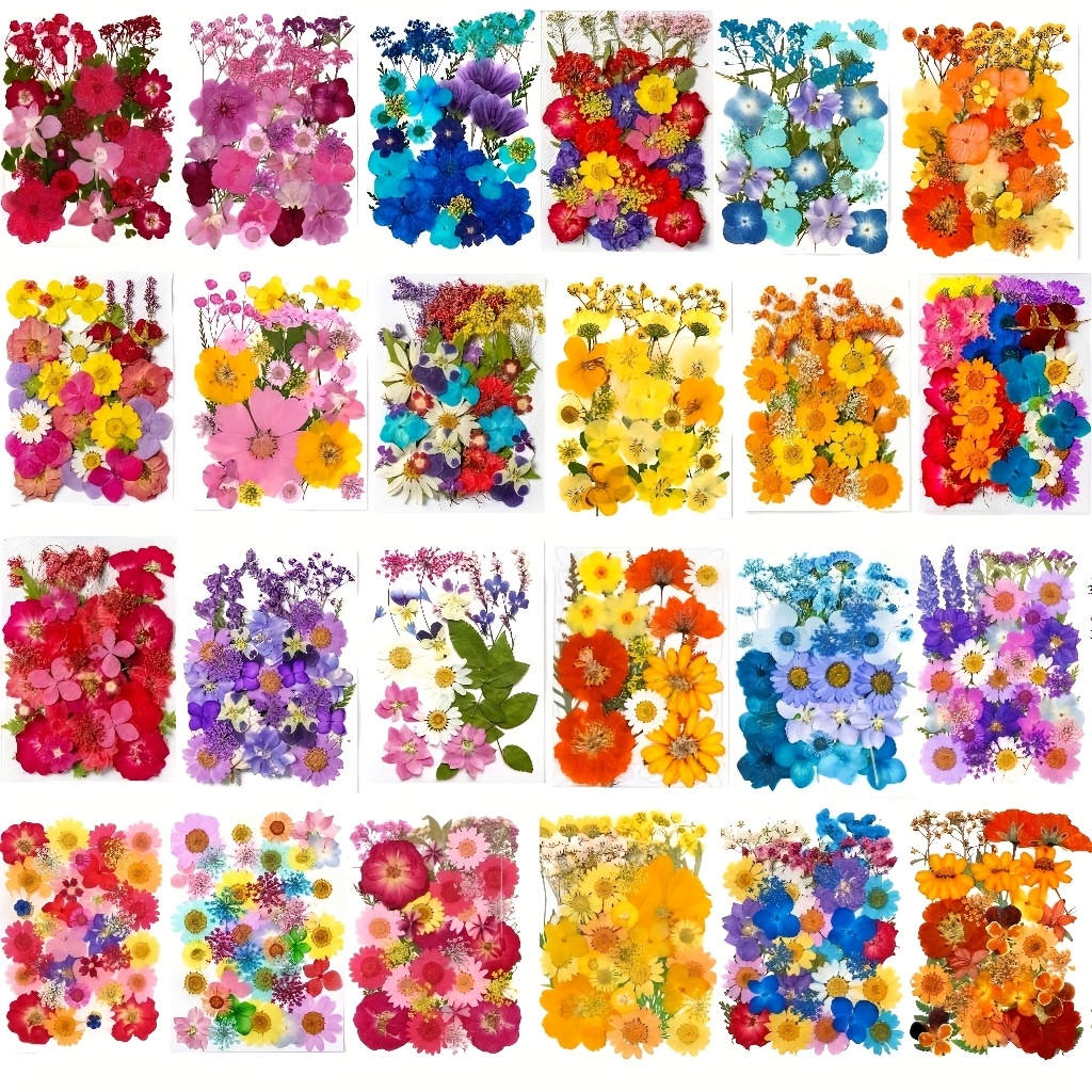 500pcs of Random Materials for - Resin Art Frame 리뷰 및 가격