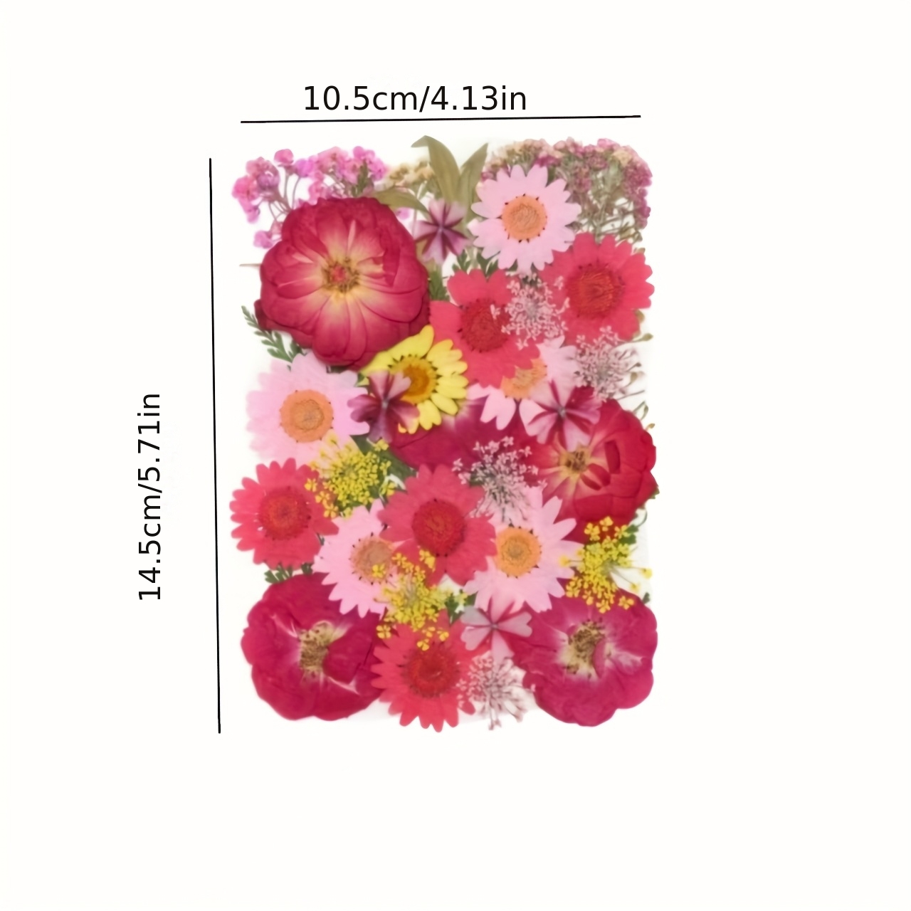 500pcs of Random Materials for - Resin Art Frame 리뷰 및 가격