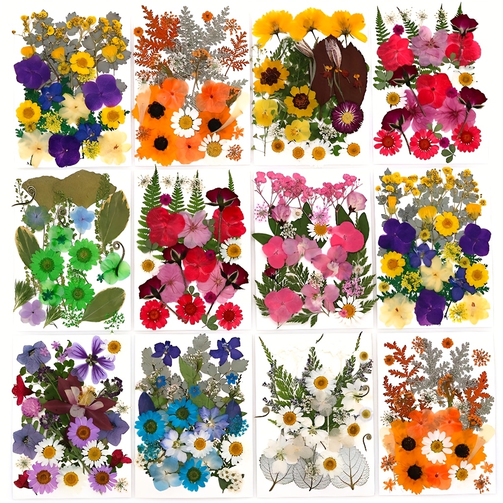 500pcs of Random Materials for - Resin Art Frame 리뷰 및 가격