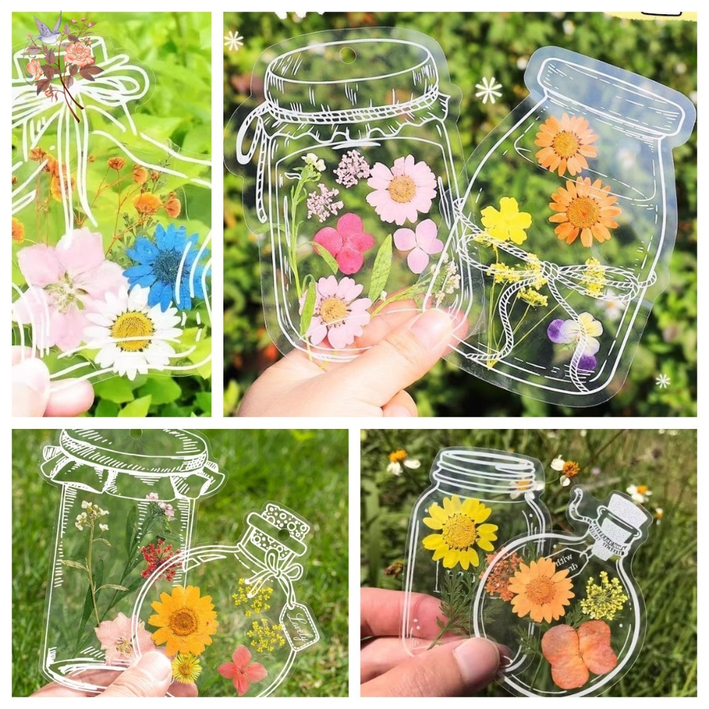 Handmade Pressed Dried Flowers - Dried Flower Pressed 리뷰 및 가격