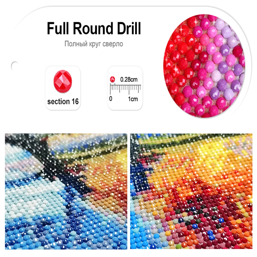 5D DIY Diamond Painting Gratef - Resin Art Of Rose 리뷰 및 가격