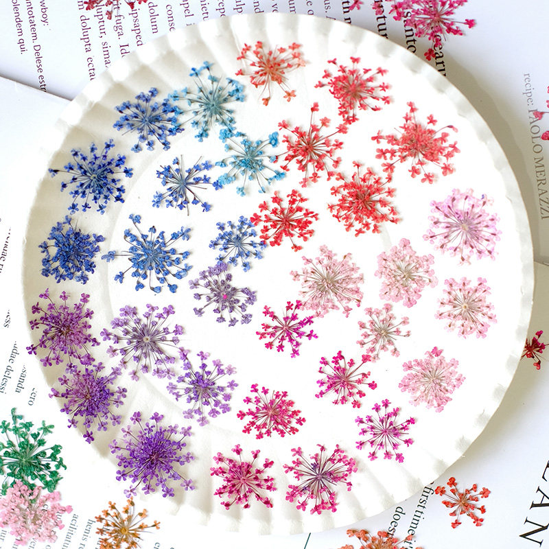 24pcs,2-2.5cm,nature Dyed Mini - Resin Art Frame 리뷰 및 가격