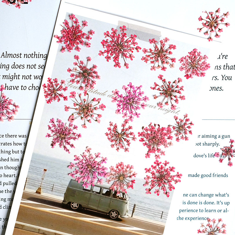 24pcs,2-2.5cm,nature Dyed Mini - Resin Art Frame 리뷰 및 가격