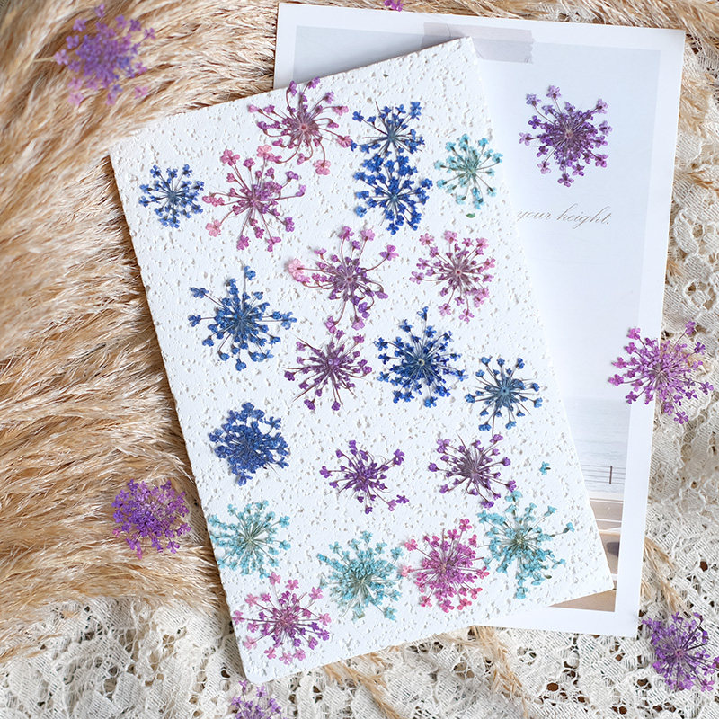 24pcs,2-2.5cm,nature Dyed Mini - Resin Art Frame 리뷰 및 가격