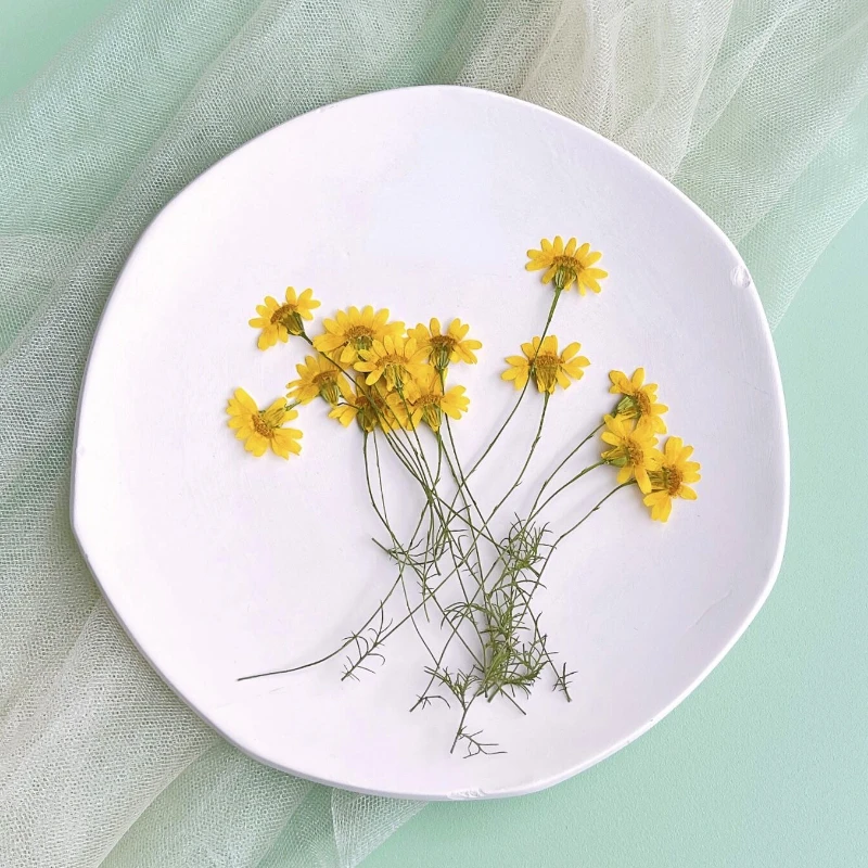 6-10cm/24pcs,Nature Pressed Ch - Dried Flower Pressed 리뷰 및 가격