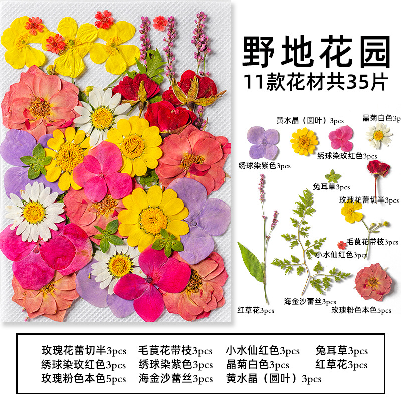 35Pcs10 Set of Dried Flowers a - Dried Flower Pressed 리뷰 및 가격