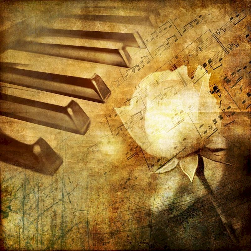 GATYZTORY Piano Rose Diamond P - Resin Art Of Rose 리뷰 및 가격