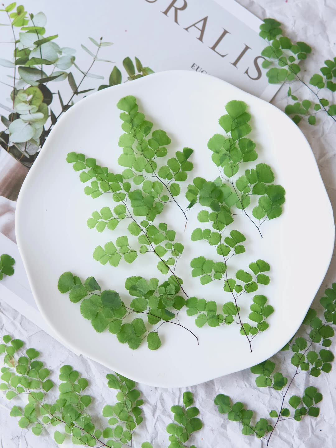60Pcs Natural Plant Real Flowe - Dried Flower Pressed 리뷰 및 가격
