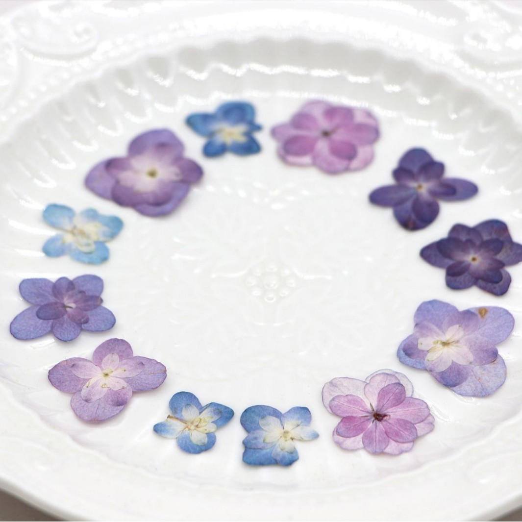 60Pcs Mini Double-Flowered Hyd - Dried Flower Pressed 리뷰 및 가격