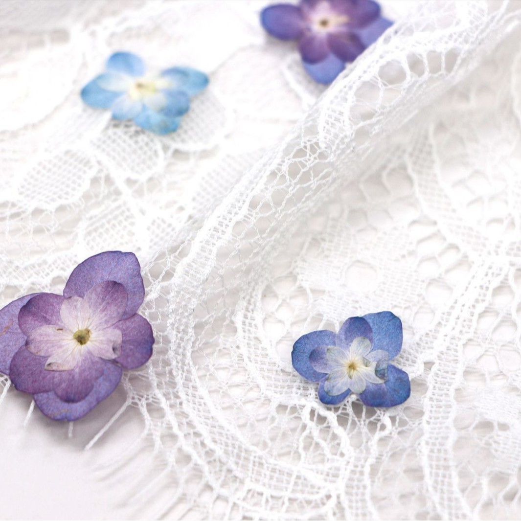 60Pcs Mini Double-Flowered Hyd - Dried Flower Pressed 리뷰 및 가격